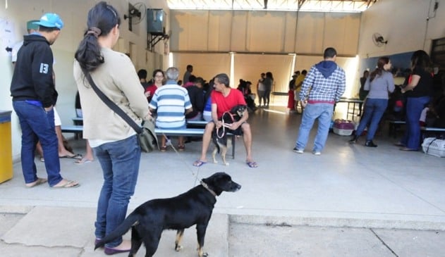 Foto de pessoas com animais em ambiente