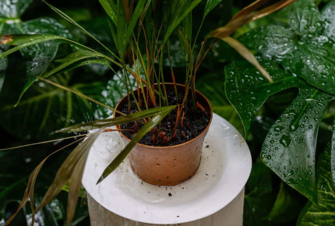 Foto: Prefeitura de Jundiaí Foto: Prefeitura de Jundiaí