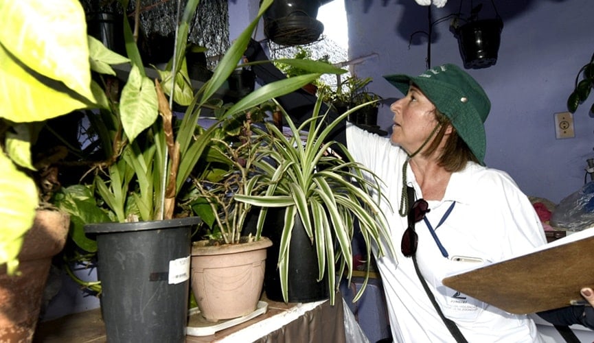 Foto de agente vistoriando residência