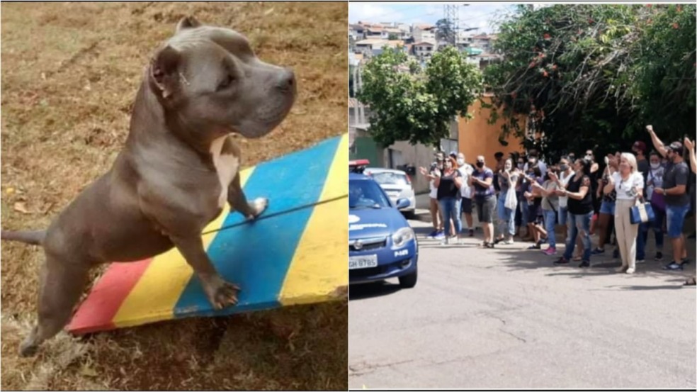 Protestos realizados em frente a hotel pet em Jundiaí