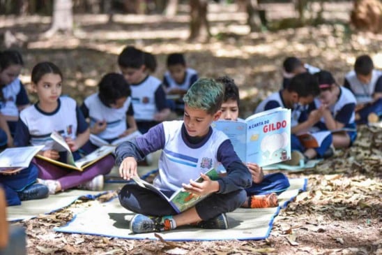 Várias possibilidades de interação com o verde foram mostradas