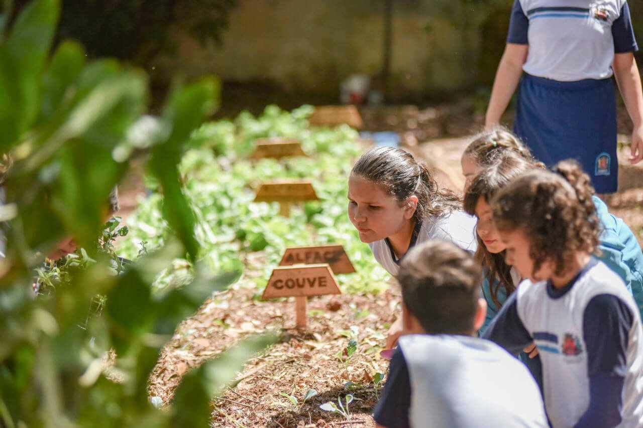 Na EMEB Aparecida Merino, as crianças aprendem na horta, no bosque e no pátio