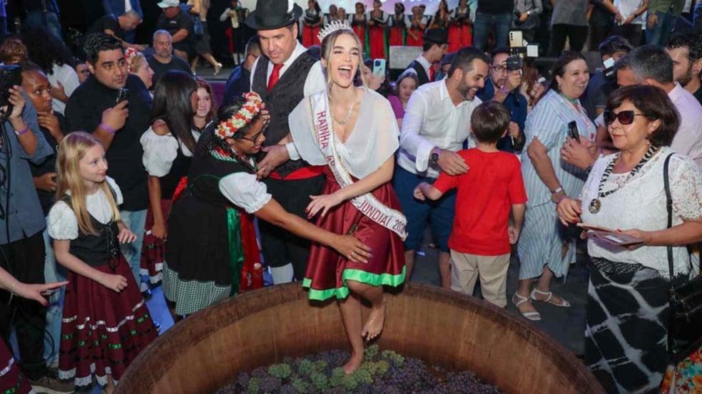 Corte na pisa da uva da festa da uva.