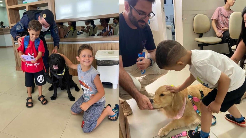 Crianças e equipe interagindo com cães.