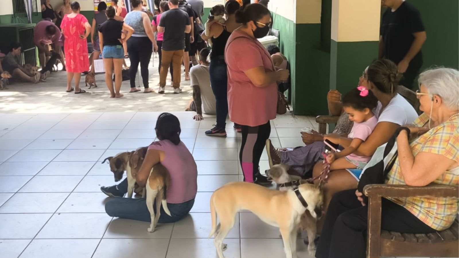 Fila para castração de animais no DEBEA de Jundiaí.