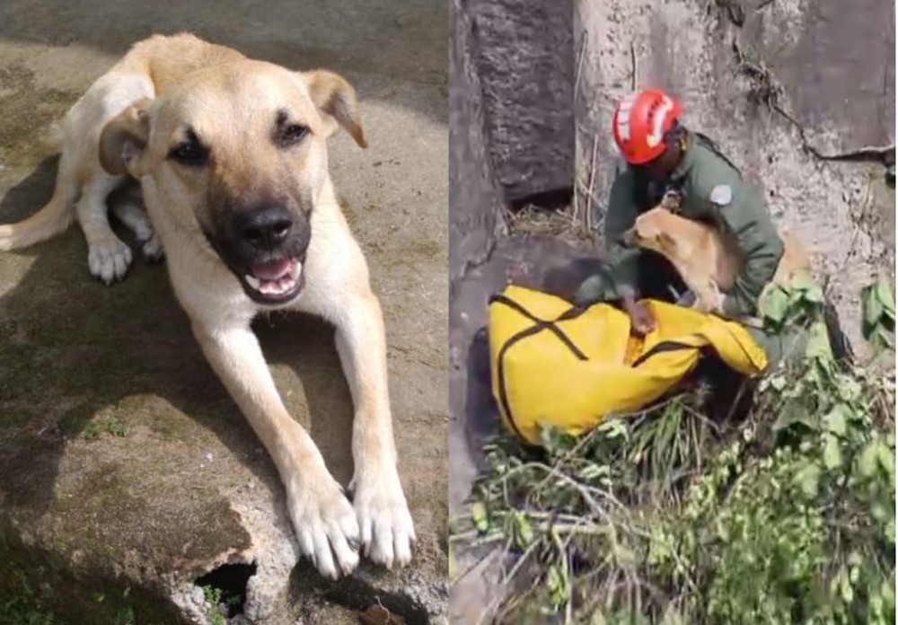 Resgate de Duque em São Vicente