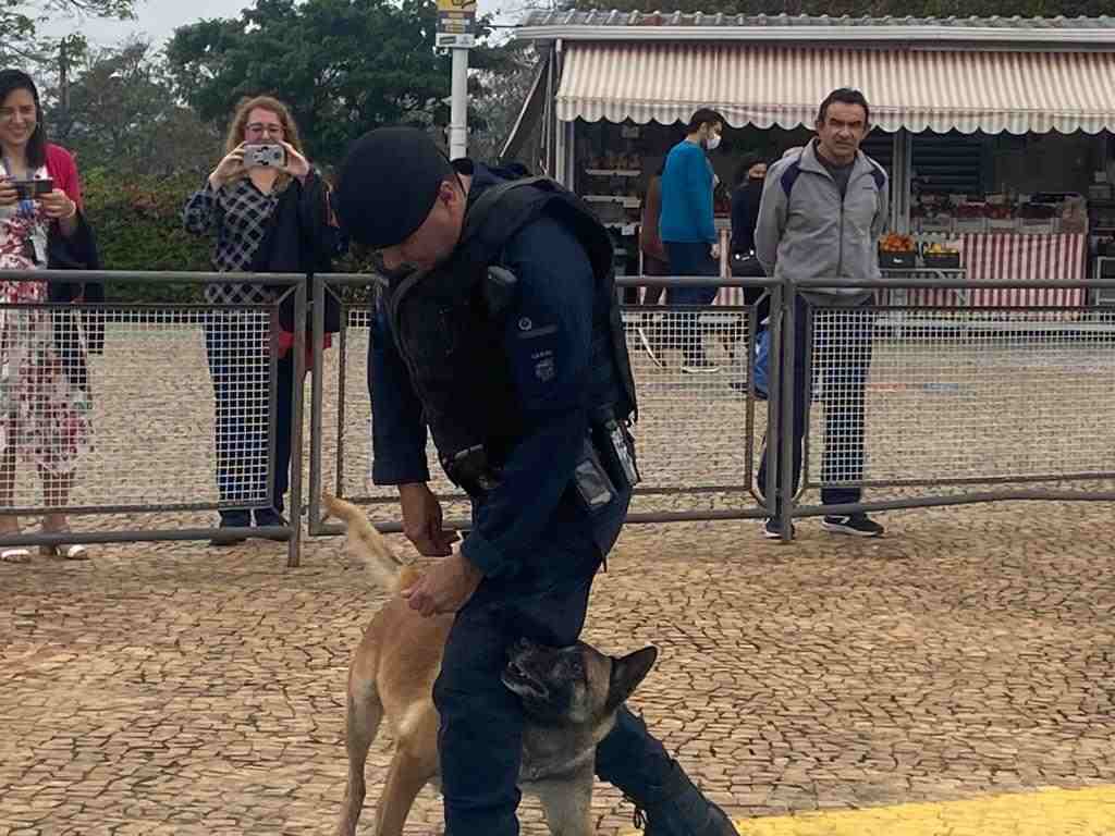 dia-das-crianças3-CIJUN-compressed