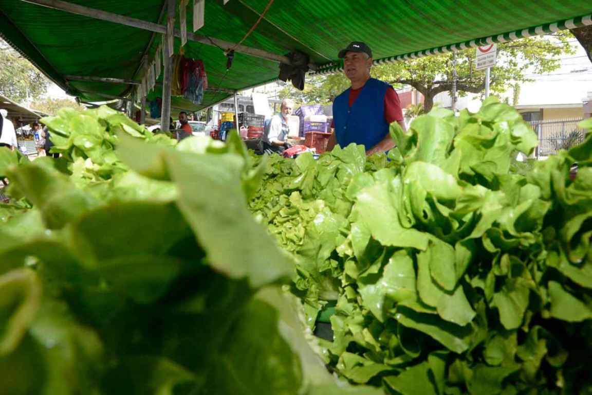 Dia do feirante é comemorado no neste 25 de agosto