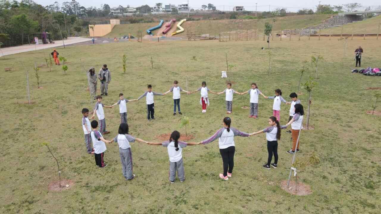 Plantio de mudas de árvores