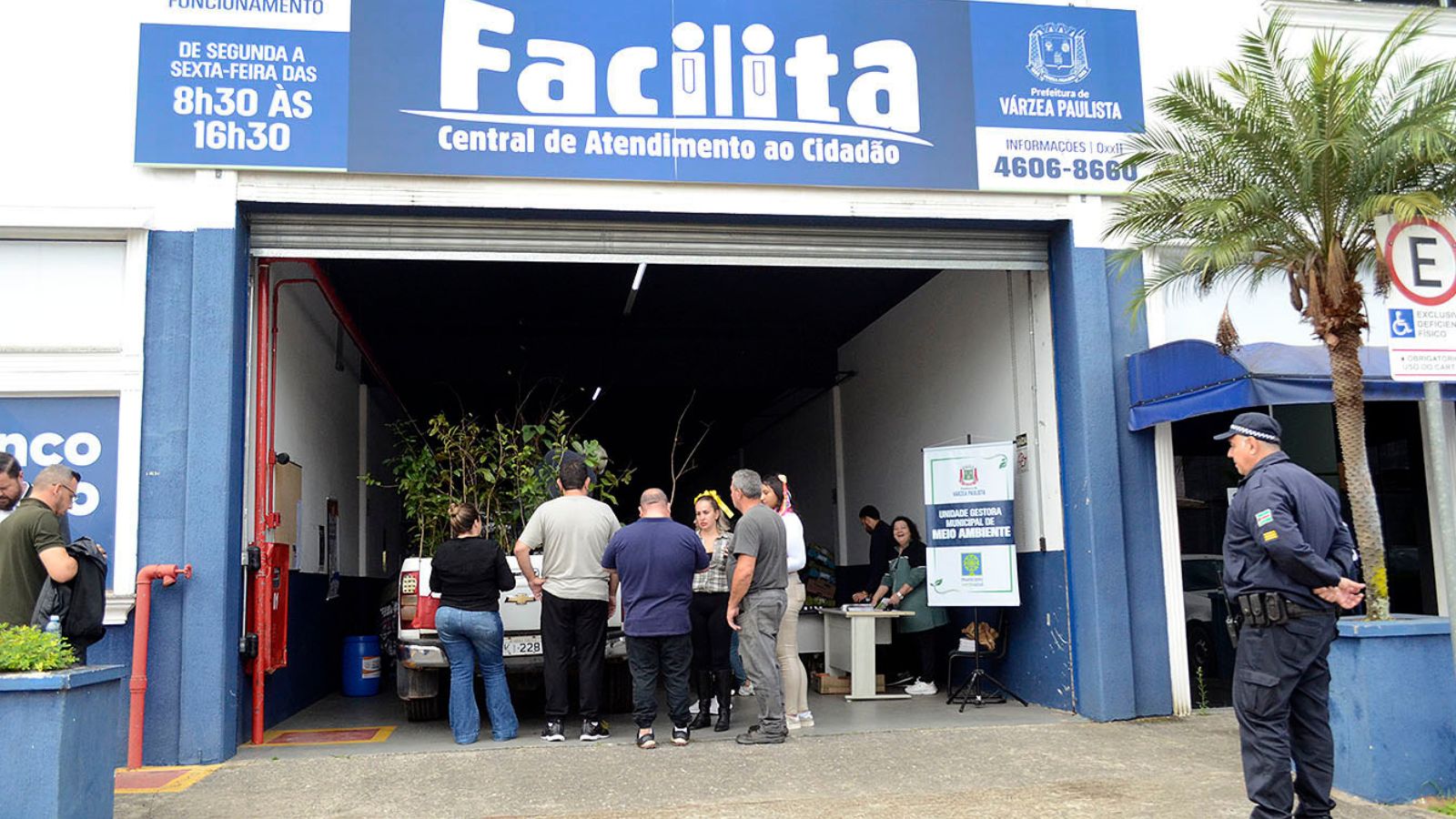 Pessoas retirando mudas de árvores.