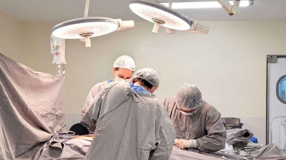 Doação de órgãos.