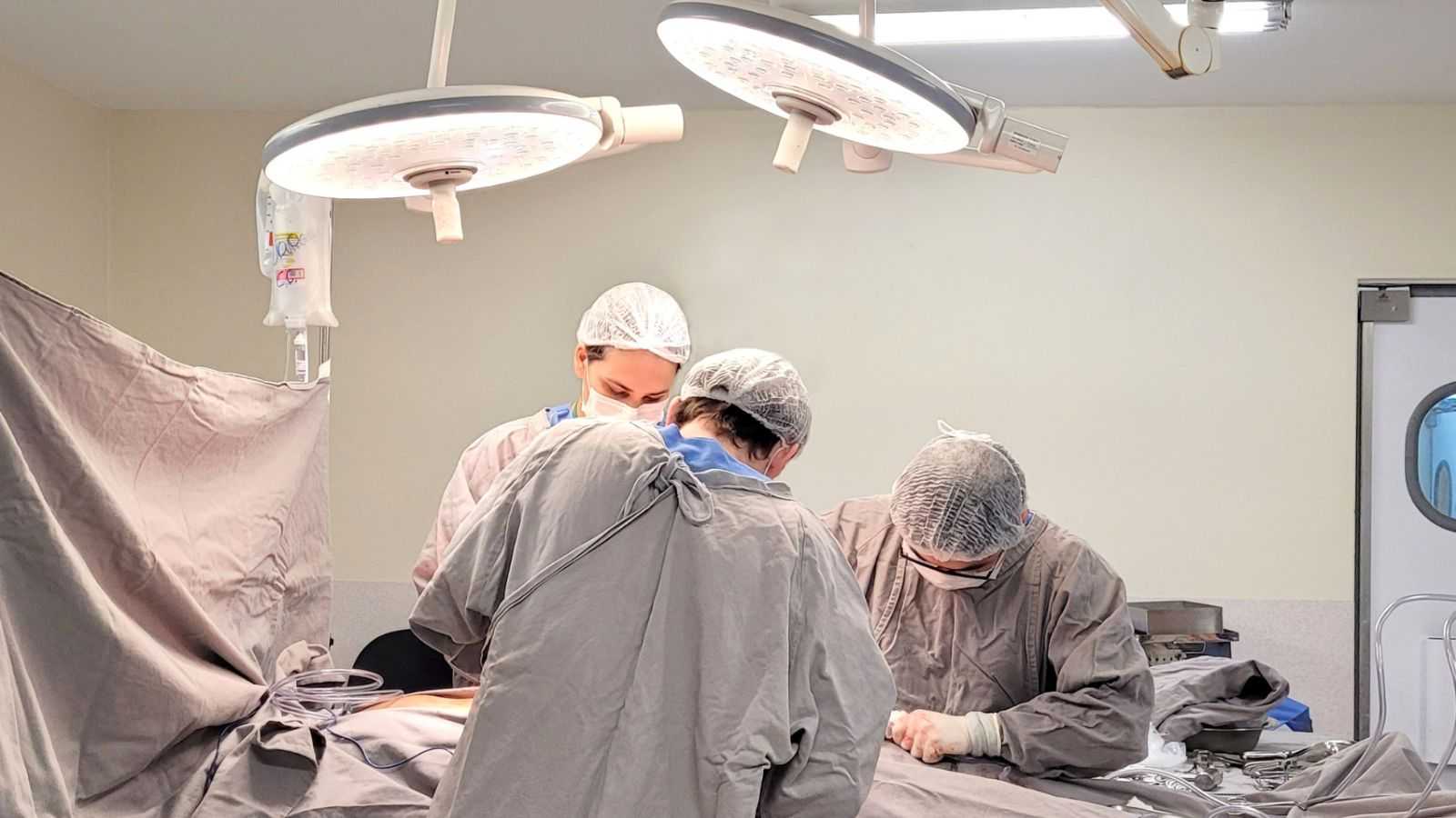 Doação de órgãos.