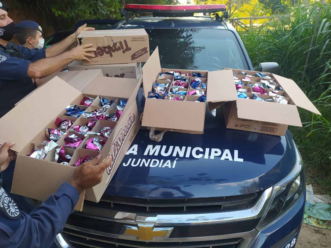 ovos Guarda Municipal