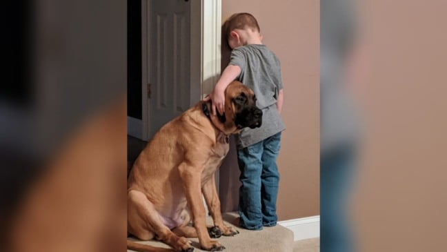 cachorro faz companhia a menino durante castigo