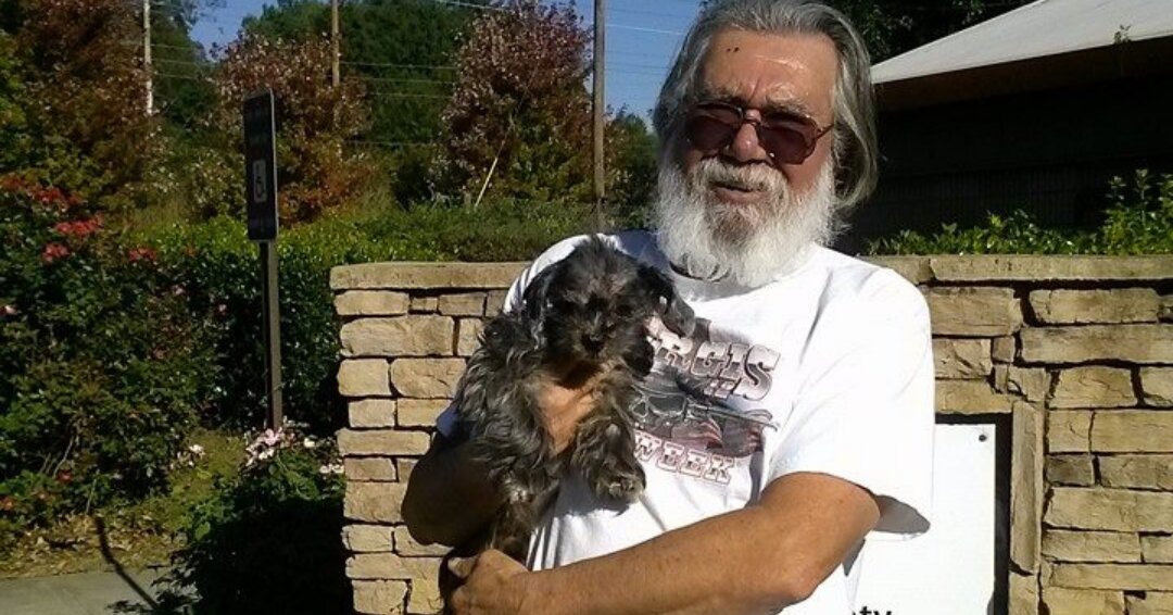 Reencontro entre cachorro e dono