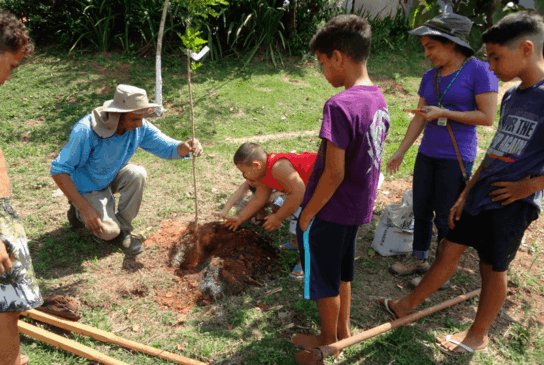 Crianças auxiliam na plantação de uma muda