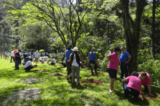 O projeto ocorrerá na avenida Antonio Frederico Ozanan, altura do número 1.240, e terá início às 9h30. (Foto: Reprodução/Prefeitura Municipal de Jundiaí)