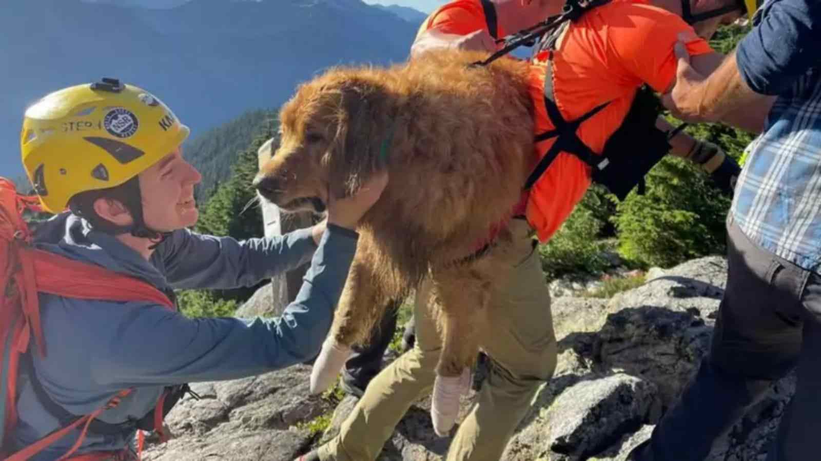 duke-resgate-capa-compressed