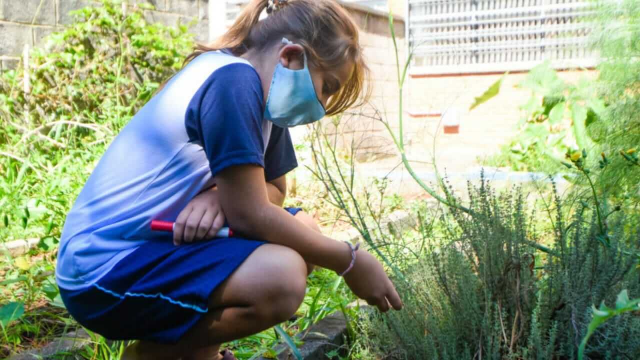 As escolas entregarão atividades impressas para alunos sem acesso à internet