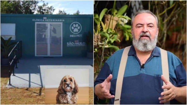 durval-orlato-clínicas-Pet-e-containers-compressed