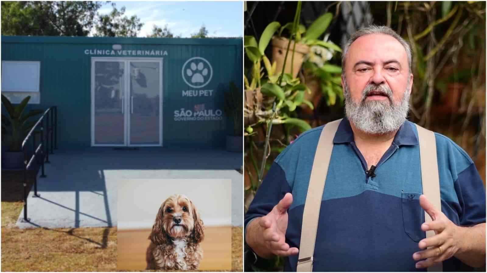 durval-orlato-clínicas-Pet-e-containers-compressed