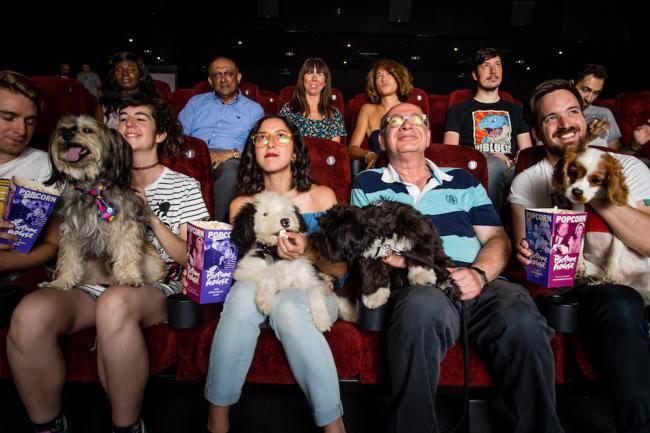 pessoas com cachorros em cinema pessoas com cachorros em cinema