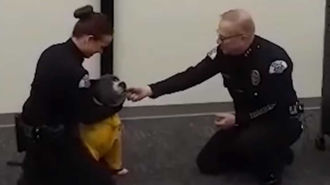 Policiais com cachorro