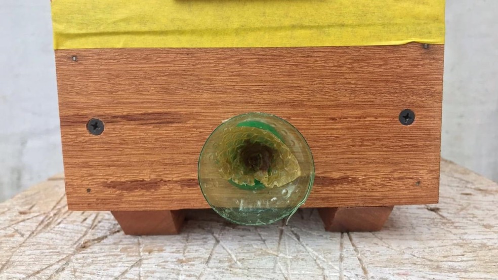 Foto: Prefeitura de Jundiaí