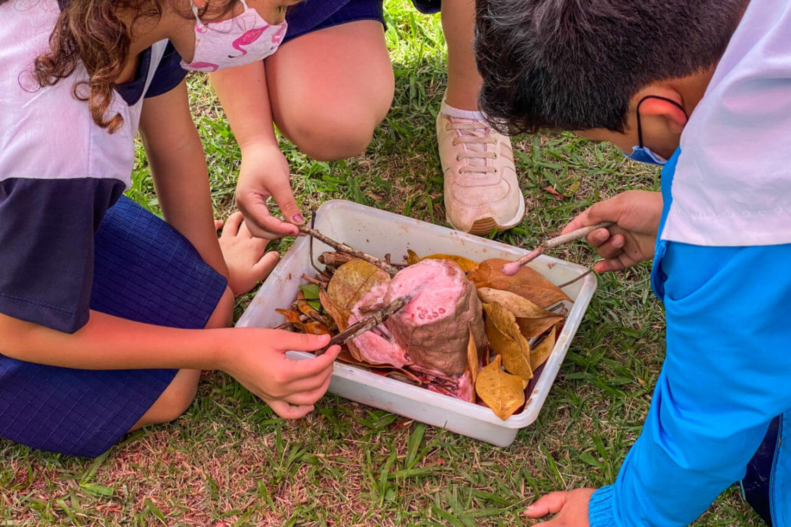 Vulcão feito por alunos em escola inovadora