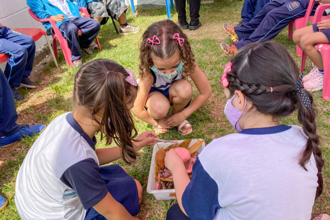 crianças olhando para uma bandeija