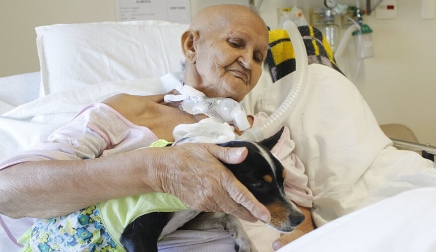Emocionante: paciente com câncer recebe visita surpresa de cachorrinha de estimação