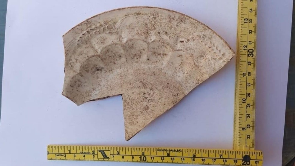 Foto: Divulgação/Furg