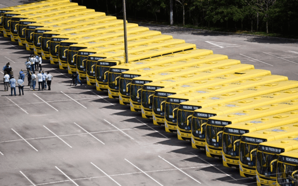 Ônibus enfileirados um do lado do outro; imagem vista de cima