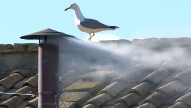 Fumaça Branca da Capela Sistina.