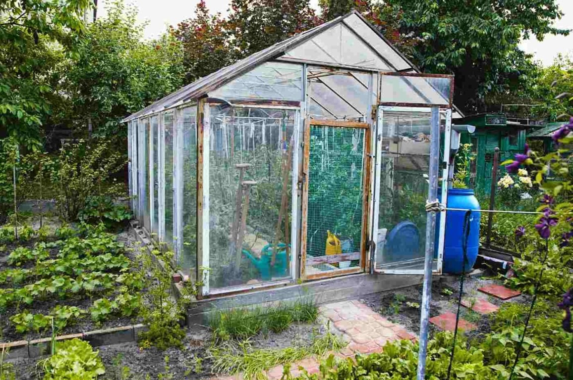 8 dicas para construir sua própria estufa em casa