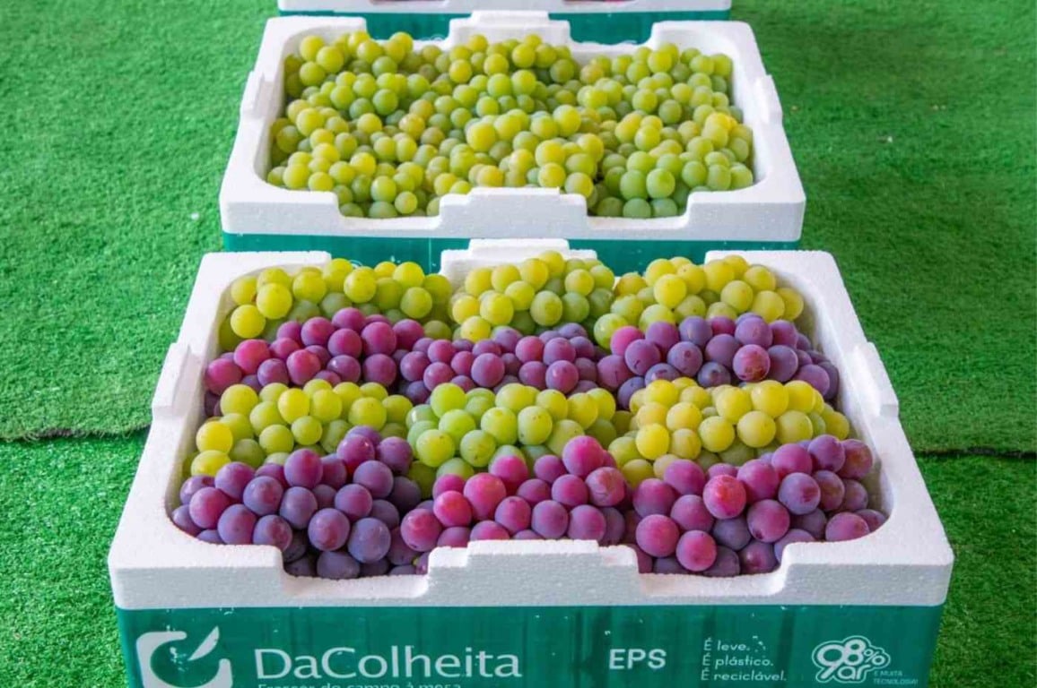 16ª Expo Uva de Itupeva começa nesta sexta (15)