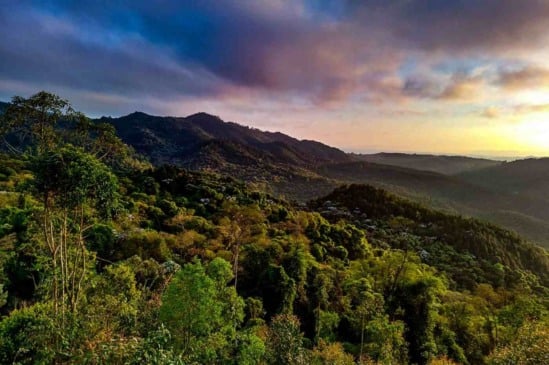 Jundiaí abre inscrições para Conselho Municipal de Defesa do Meio Ambiente