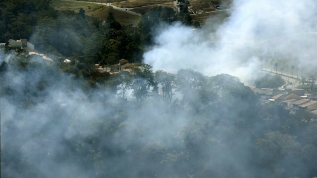 Foto de queimada em área florestal.