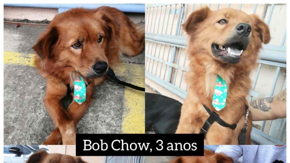 (Foto: Divulgação)