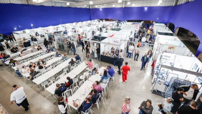 FENS descentralizada.