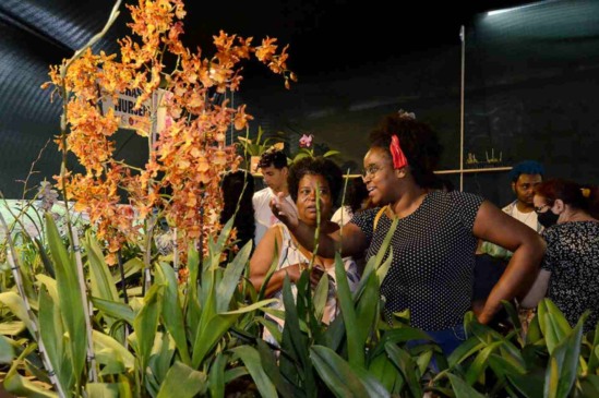 A tradicional Festa das Orquídeas 2023 está chegando com atrações para toda família