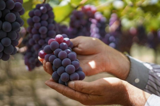 Pesquisa sobre o Turismo de Jundiaí segue aberta para todos os moradores