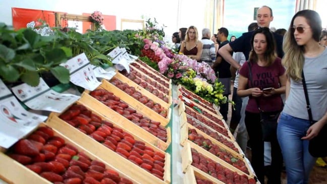 Foto do estande da festa do morango.