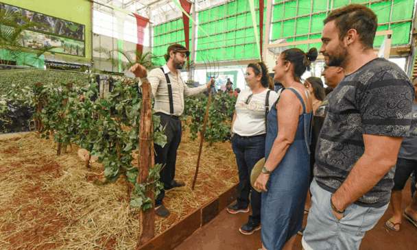 Ator encena chegada de imigrantes italianos em Jundiaí