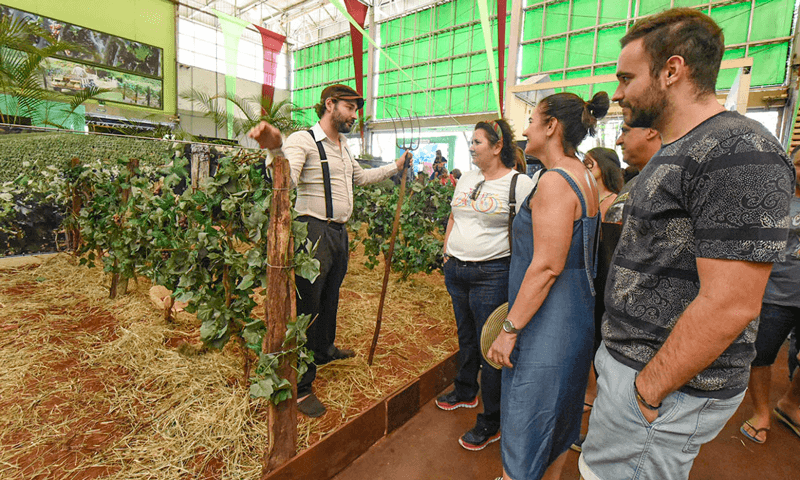 Ator encena chegada de imigrantes italianos em Jundiaí