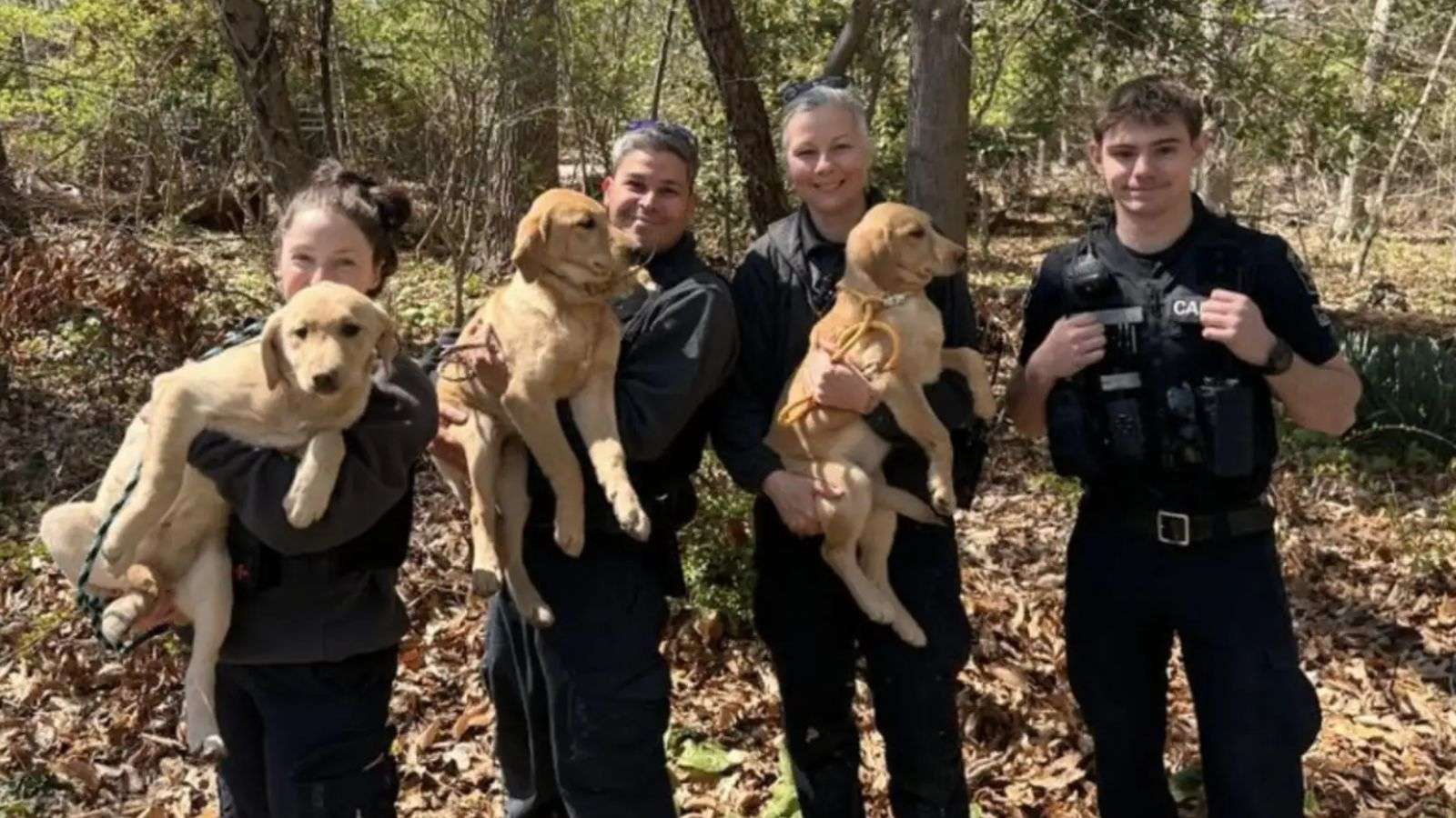 Agentes com os filhotes no colo