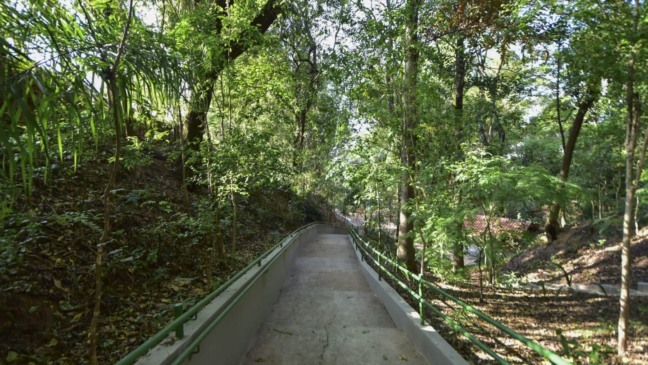 "Florestas urbanas” espalhadas por Jundiaí contribuem ao meio ambiente