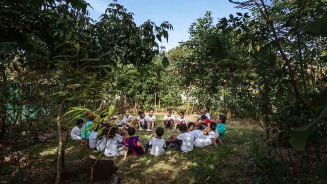 Crianças em meio às arvórres.