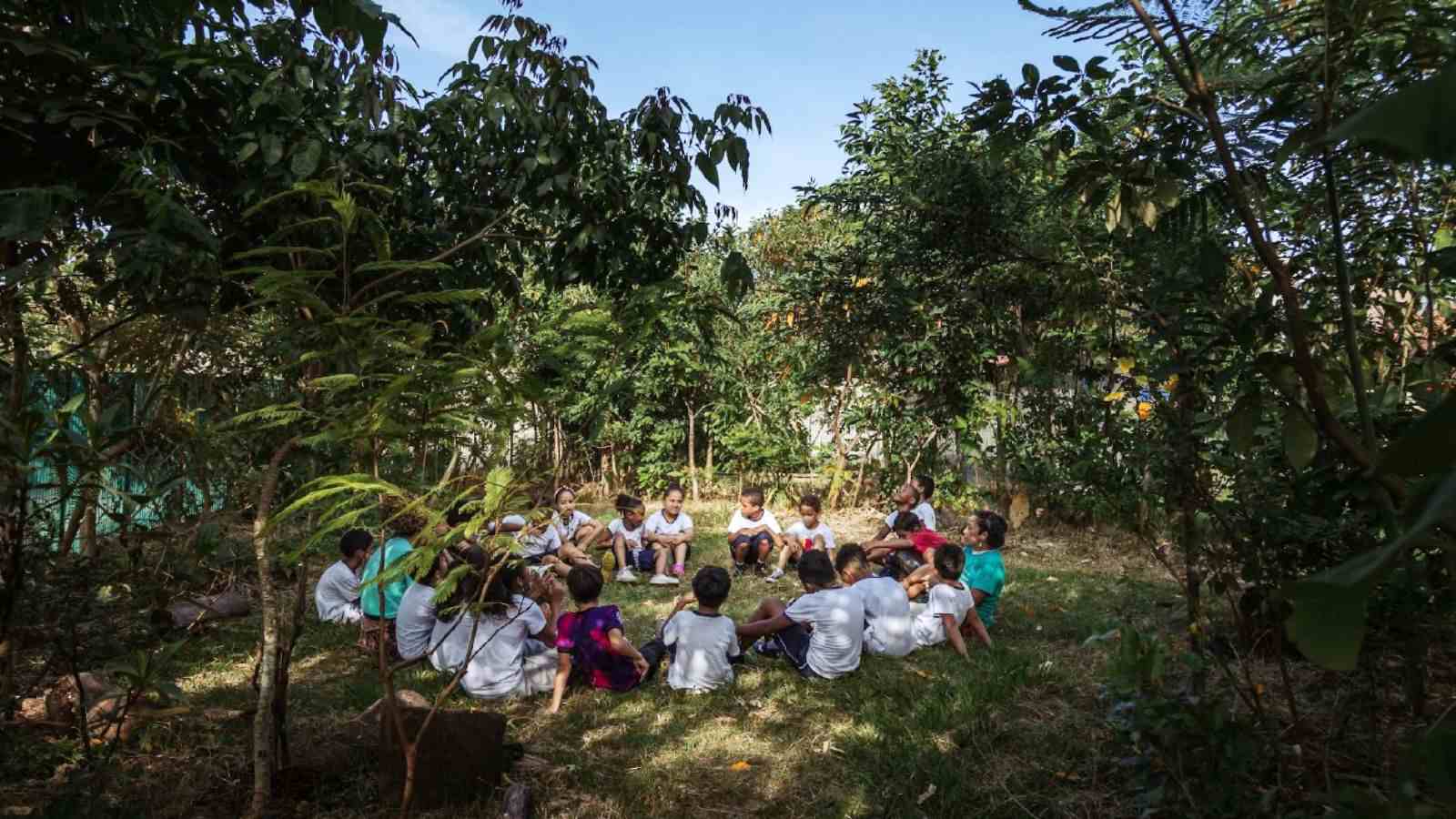 Crianças em meio às arvórres.