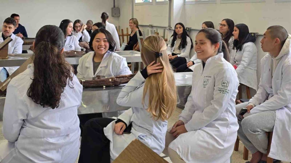 Alunos de medicina em aula. Alunos de medicina em aula.
